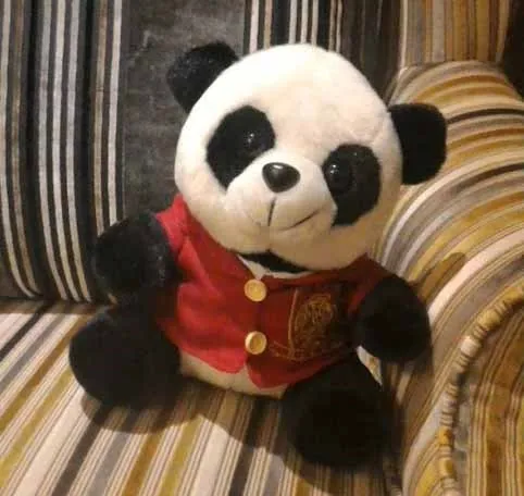 The Panda gifted to Christina